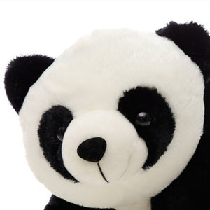 Panda Series - Yang Yang