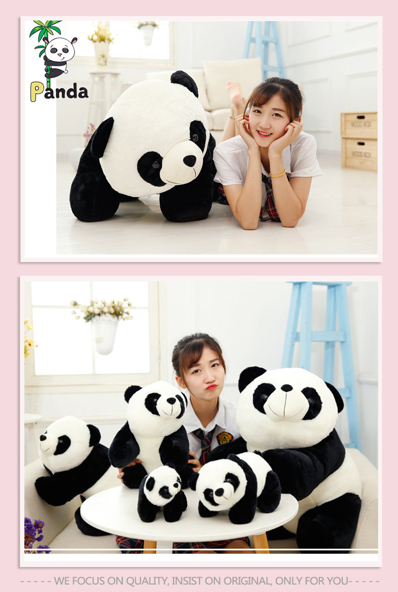 Panda Series - Yang Yang