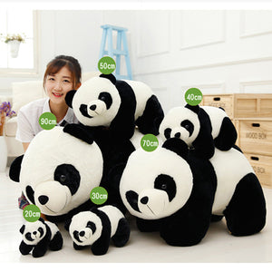 Panda Series - Yang Yang