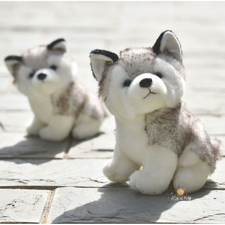 Dog Series - Baby Husky