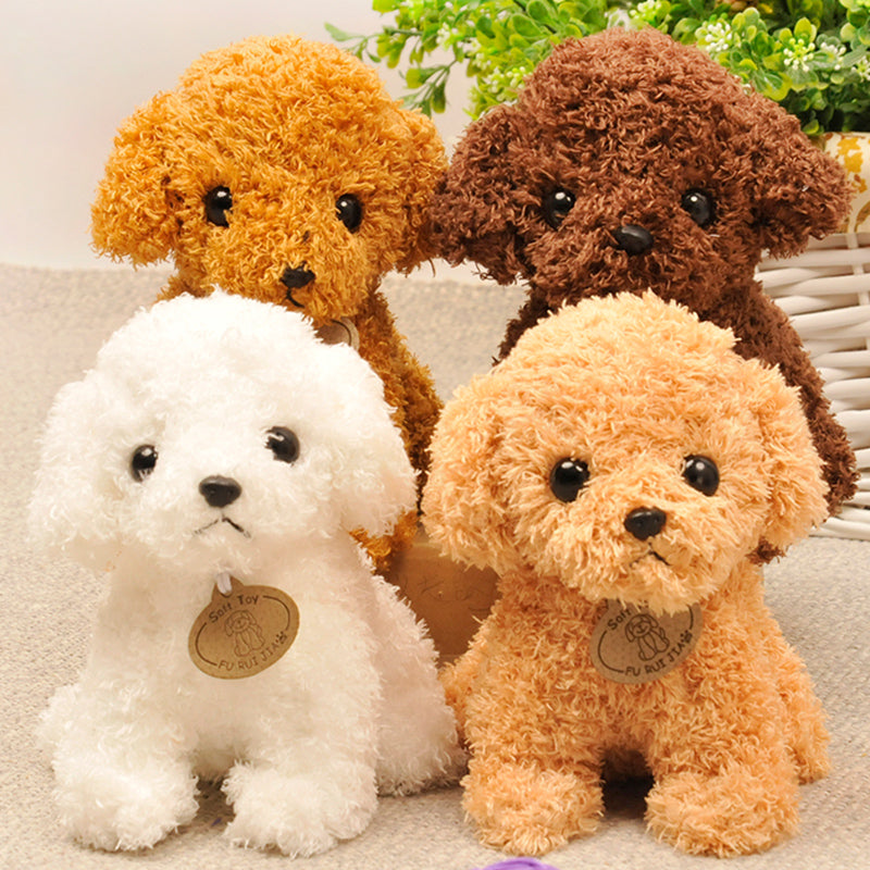 Dog Series - Toy Poodles