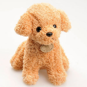 Dog Series - Toy Poodles