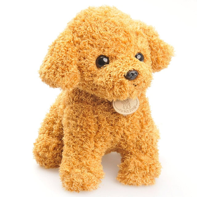 Dog Series - Toy Poodles