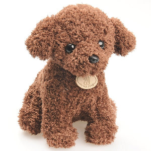 Dog Series - Toy Poodles